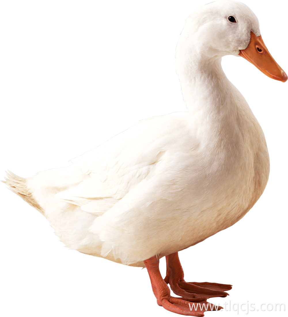 5ece463d70e5748a857e1ab6e9c78c21 5ece463d70e5748a857e1ab6e9c78c21